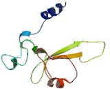 Selenoprotein T2 (SELT2)