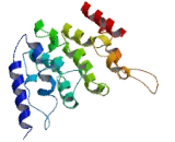 Selenoprotein V (SELV)