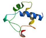 Serum Amyloid A2 (SAA2)