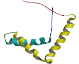 Sex Determining Region Y Box Protein 1 (SOX1)