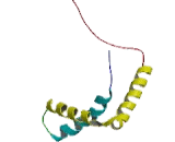 Sex Determining Region Y Box Protein 2 (SOX2)