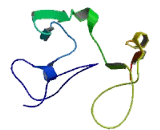 Signal Sequence Receptor Delta (SSRd)