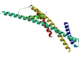 Signal Transducing Adaptor Molecule 1 (STAM1)