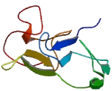 Signaling Lymphocytic Activation Molecule Family, Member 1 (SLAMF1)