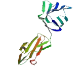 Signaling Lymphocytic Activation Molecule Family, Member 7 (SLAMF7)