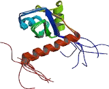 Sjogren Syndrome Antigen B (SSB)