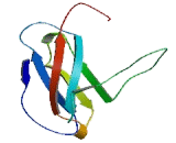 Sodium Channel Voltage Gated Type I Beta (SCN1b)