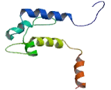 Sodium Channel Voltage Gated Type II Alpha (SCN2a)