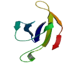 Sodium Channel Voltage Gated Type III Beta (SCN3b)