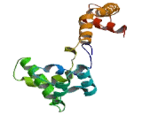 Sodium Channel Voltage Gated Type IV Alpha (SCN4a)