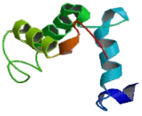 Sodium Channel Voltage Gated Type IV Beta (SCN4b)