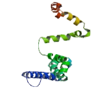 Sodium Channel Voltage Gated Type IX Alpha (SCN9a)