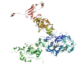 Sodium Channel Voltage Gated Type V Alpha (SCN5a)