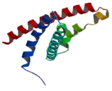 Sodium Channel Voltage Gated Type VII Alpha (SCN7a)