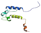 Sodium Channel Voltage Gated Type VIII Alpha (SCN8a)