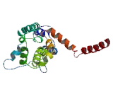 Sodium Channel Voltage Gated Type X Alpha (SCN10a)