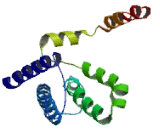 Sodium Channel Voltage Gated Type XI Alpha (SCN11a)