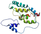 Sodium/Glucose Cotransporter 1 (SGLT1)