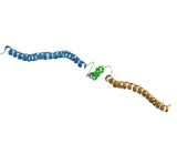 Sperm Associated Antigen 5 (SPAG5)