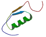 Spermine Oxidase (SMOX)