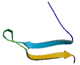 Serpin Peptidase Inhibitor,Clade B,Member 4 (SERPINB4)