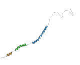 Stathmin 1 (STMN1)