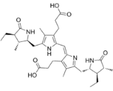 Stercobilin (SB)