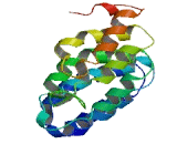 Stromal Antigen 3 Like Protein 1 (STAG3L1)