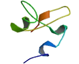 Sucrase Isomaltase (SI)