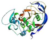 Sulfatase Modifying Factor 1 (SUMF1)