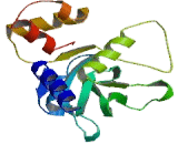 Suppressors Of Cytokine Signaling 2 (SOCS2)