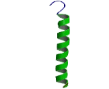 Surfactant Protein C (SP-C)