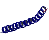 Syntaxin 11 (STX11)