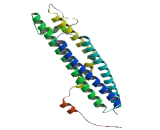 Syntaxin 2 (STX2)