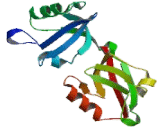 Syntenin 2 (ST2)