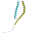 Gamma-synuclein (SNCG)