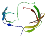 TGFB1 Induced Anti-Apoptotic Factor 1 (TIAF1)