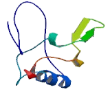 THAP Domain Containing, Apoptosis Associated Protein 2 (THAP2)
