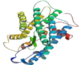 Tachykinin Receptor 2 (TACR2)