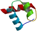 Telomeric Repeat Binding Factor 1 (TERF1)