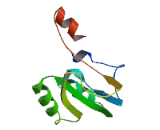 Tetraspanin 30Cluster of Differentiation 63 (CD63)