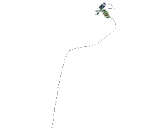 Thymopoietin (TMPO)