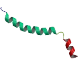 Thymosin Beta 10 (TMSb10)