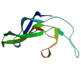 Thyroid Stimulating Hormone Beta (TSHb)