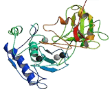 Tissue Inhibitors Of Metalloproteinase 2 (TIMP2)