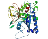 Tissue Inhibitors Of Metalloproteinase 3 (TIMP3)