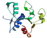 Toll Like Receptor 8 (TLR8)