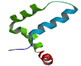 Transcription Factor A, Mitochondrial (TFAM)