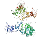 Transcription factor 20 (TCF20)