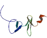 Transforming Growth Factor Beta 1 Induced Transcript 1 (<b>TGFb1</b>I1)